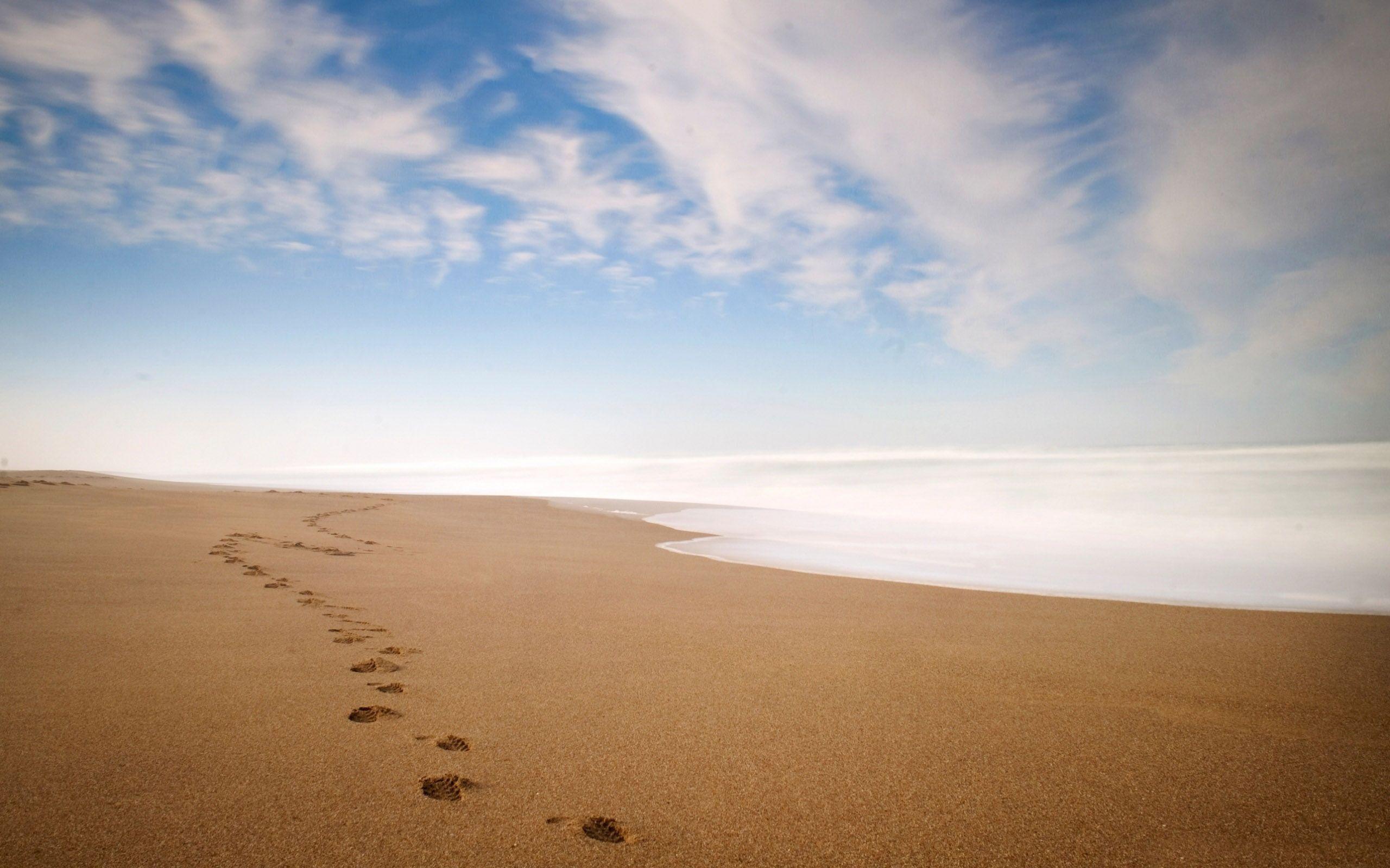 Fresh Start of California business image