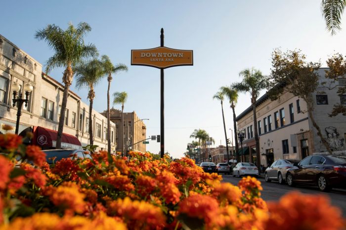Orange County Drug Rehab for Professionals