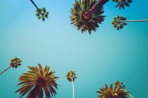 outpatient-rehab-santa-ana-ca-with-flexible-treatment-fresh-start