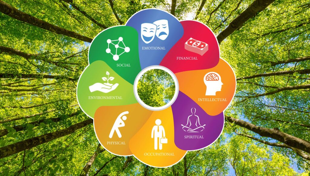 mental-wellness-after-rehab-supporting-emotional-balance-and-recovery-success
